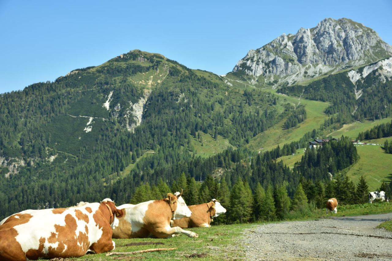 Apartment Sonnleitn/Nassfeld Sonnenalpe Nassfeld Zewnętrze zdjęcie