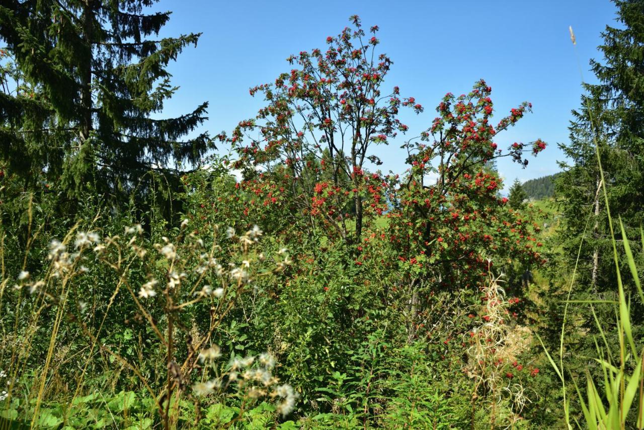 Apartment Sonnleitn/Nassfeld Sonnenalpe Nassfeld Zewnętrze zdjęcie